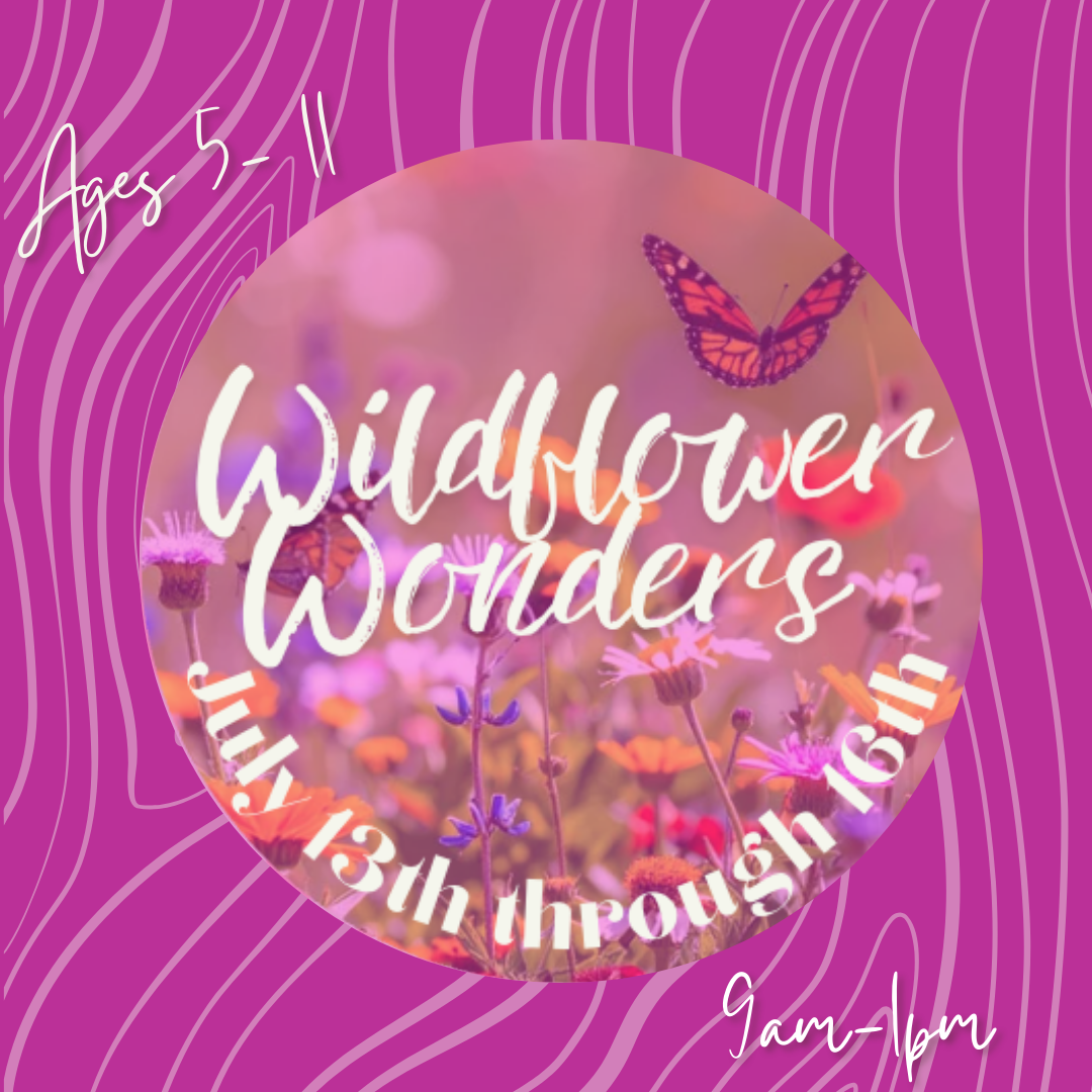 Wildflower Wonders Kids Camp