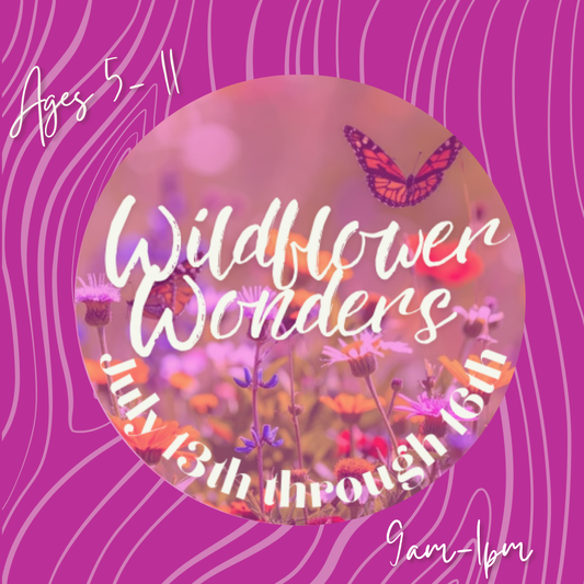 Wildflower Wonders Kids Camp